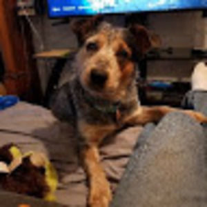 Meet your Posher, Nathan